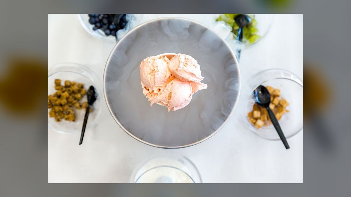 Should I open or buy a Sub Zero Nitrogen Ice Cream franchise in 2027 — figure 1
