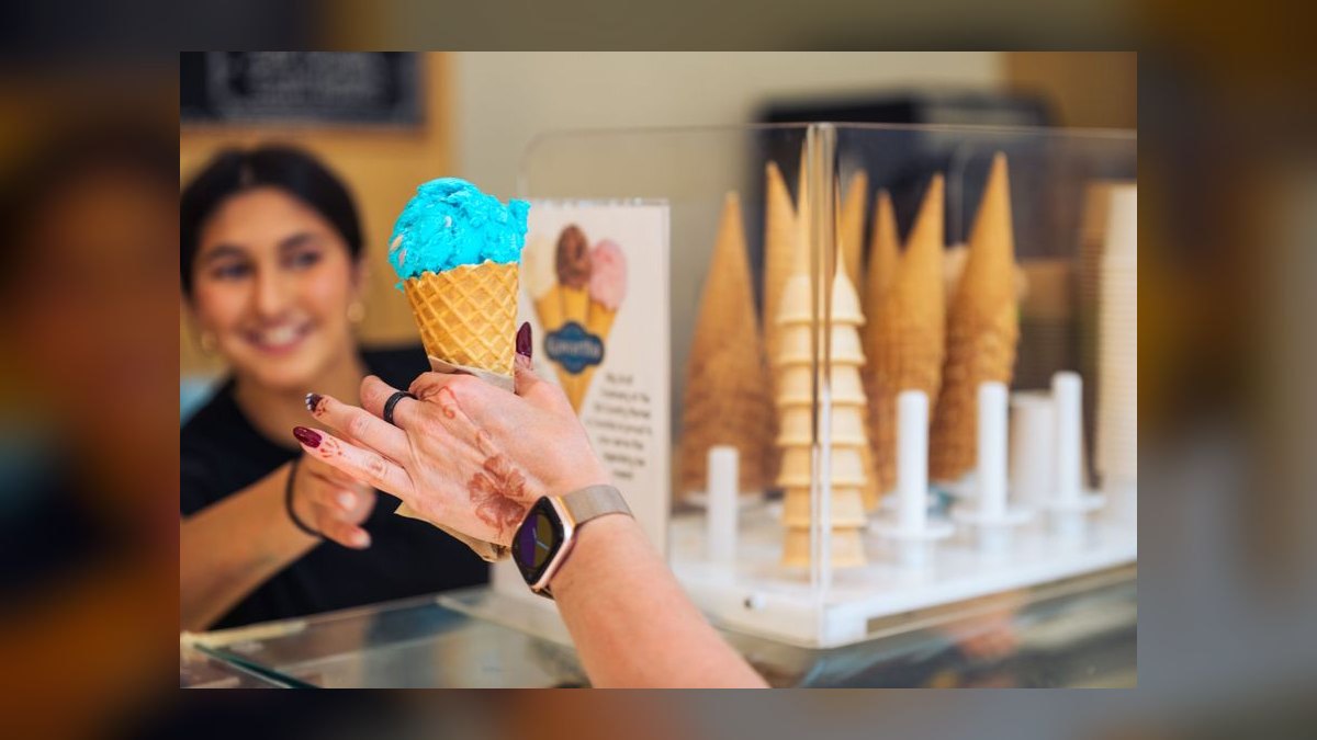 Should I open or buy a Sub Zero Nitrogen Ice Cream franchise in 2027 — figure 3