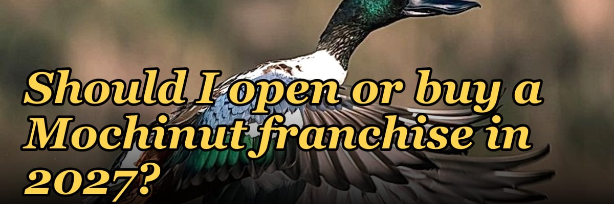 Should I open or buy a Mochinut franchise in 2027?