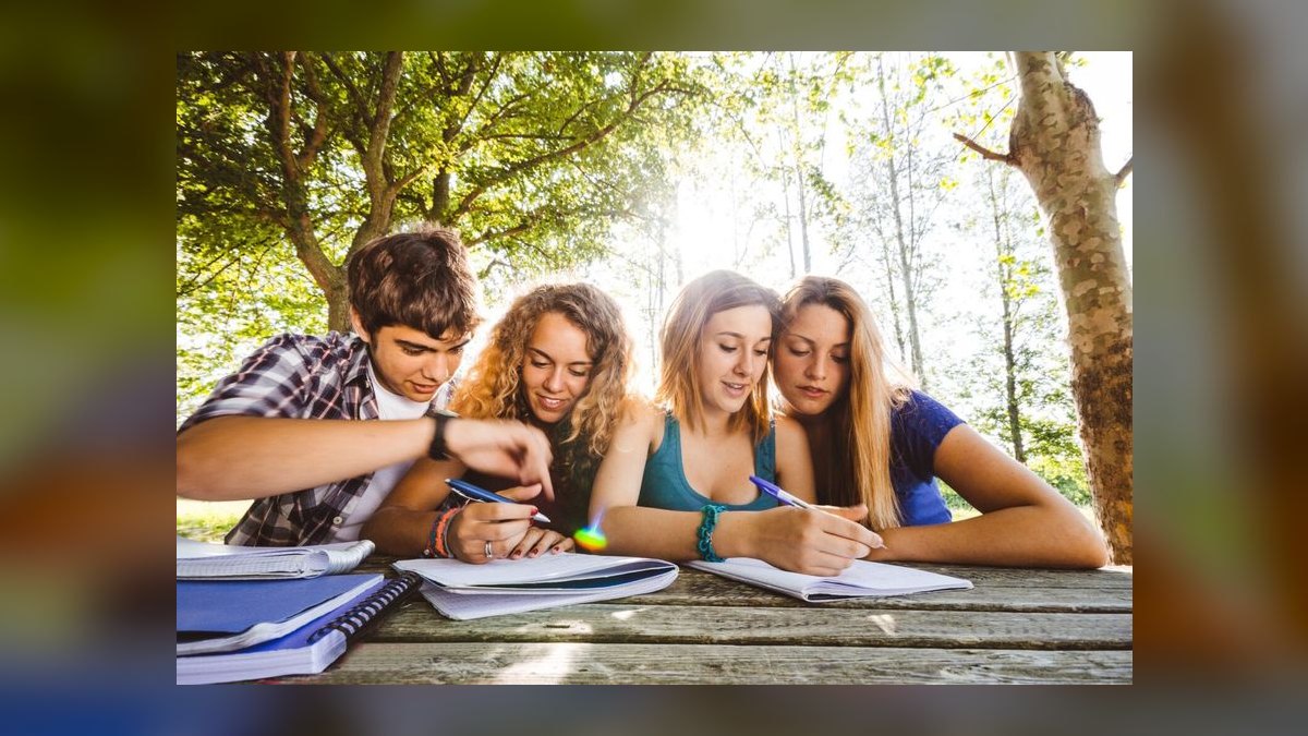 Should I open or buy a GradePower Learning franchise in 2027 — figure 7