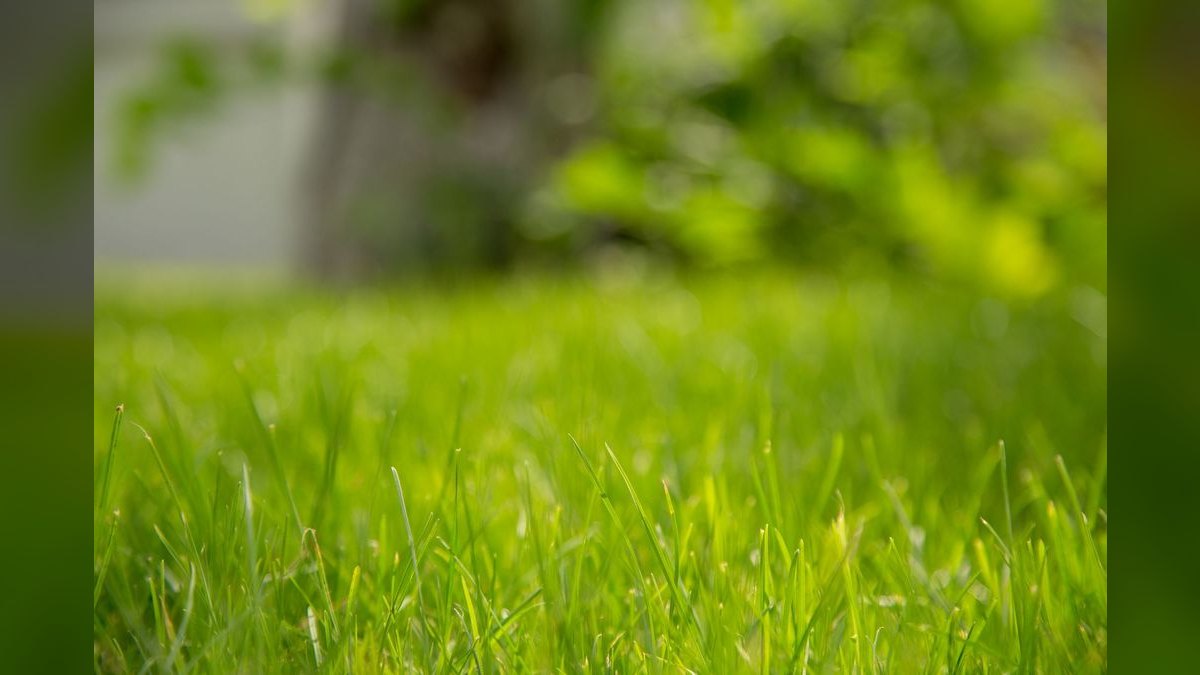 Should I open or buy a TruGreen franchise in 2027 — figure 2