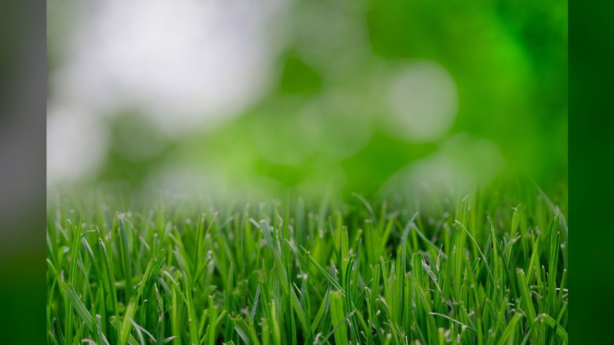Should I open or buy a TruGreen franchise in 2027 — figure 3