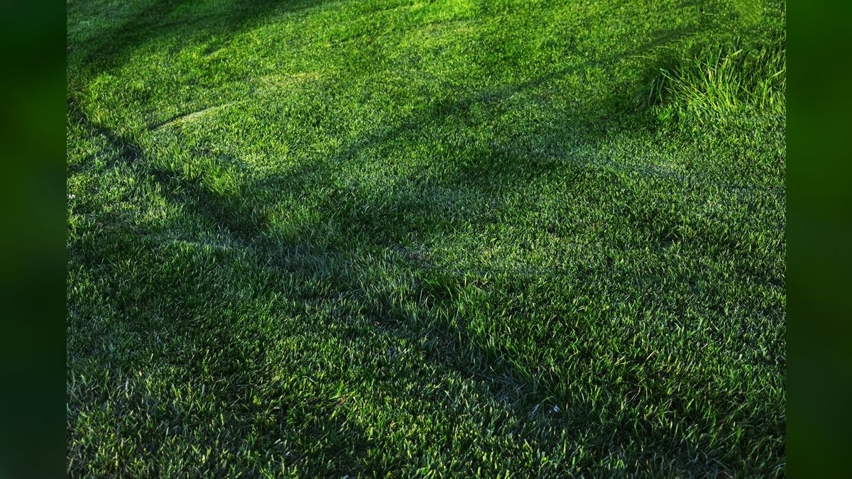Should I open or buy a TruGreen franchise in 2027 — figure 4