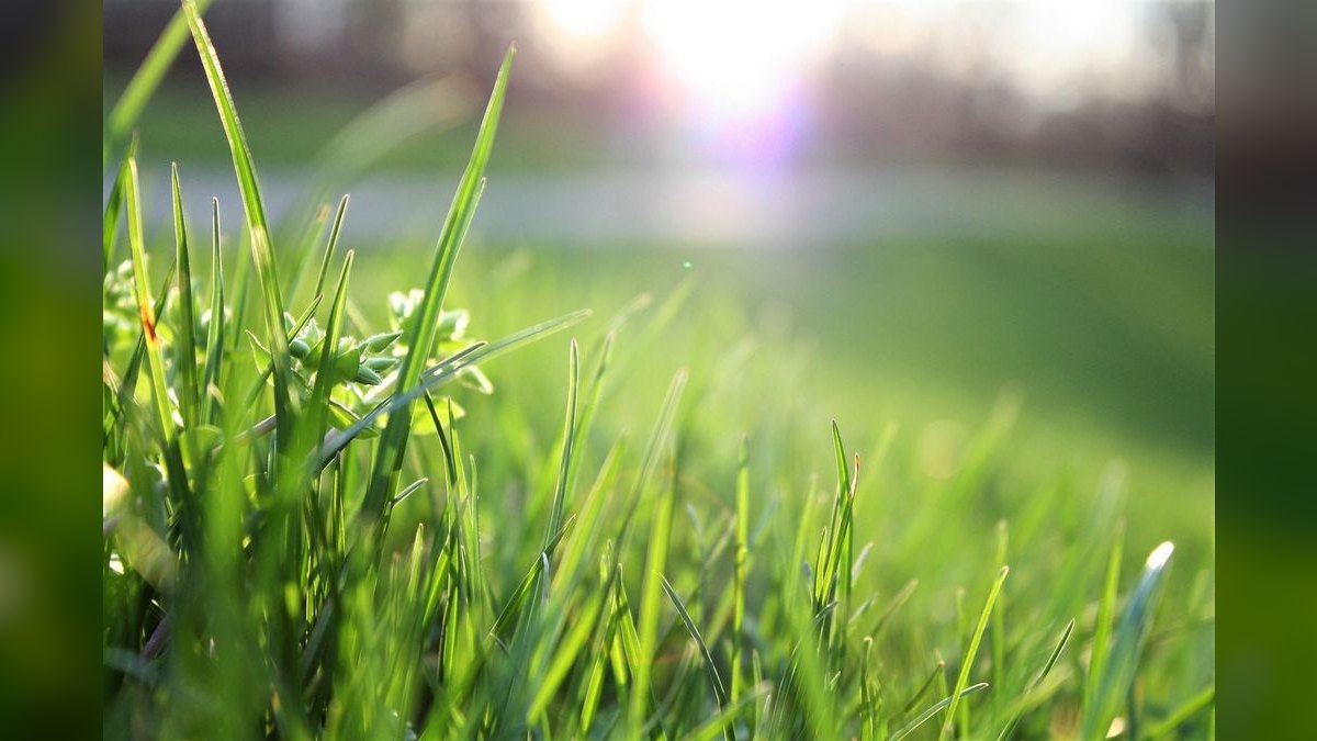 Should I open or buy a TruGreen franchise in 2027 — figure 6