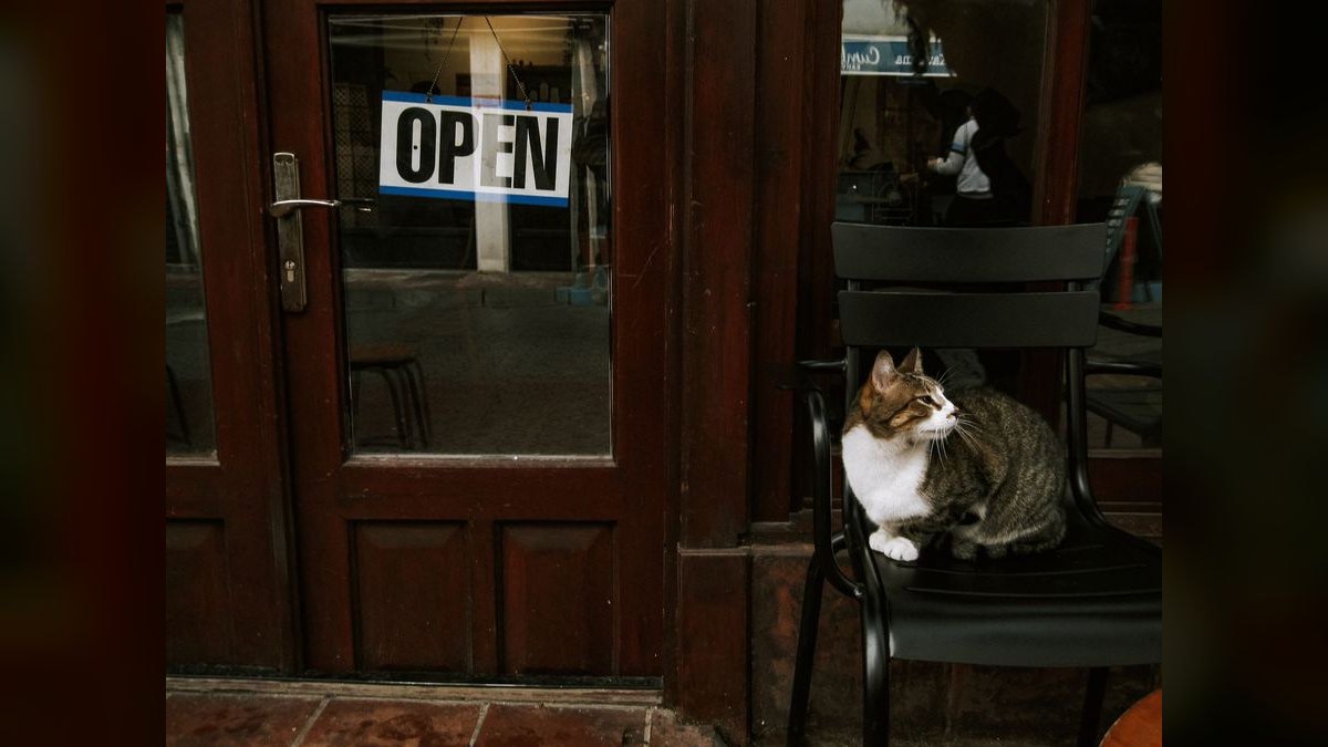 Should I open or buy a Gatti's Pizza franchise in 2027 — figure 4