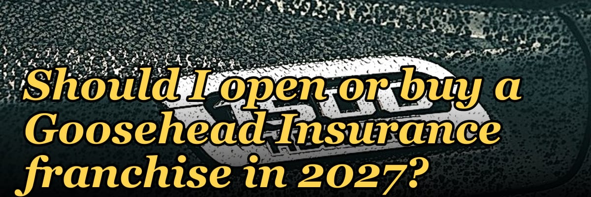 Should I open or buy a Goosehead Insurance franchise in 2027?