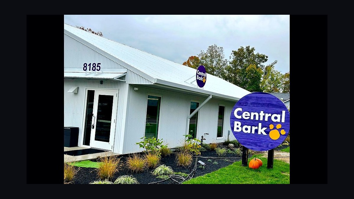 Should I open or buy a Central Bark franchise in 2027?