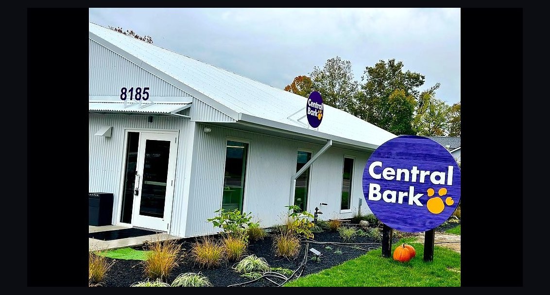 Should I open or buy a Central Bark franchise in 2027?