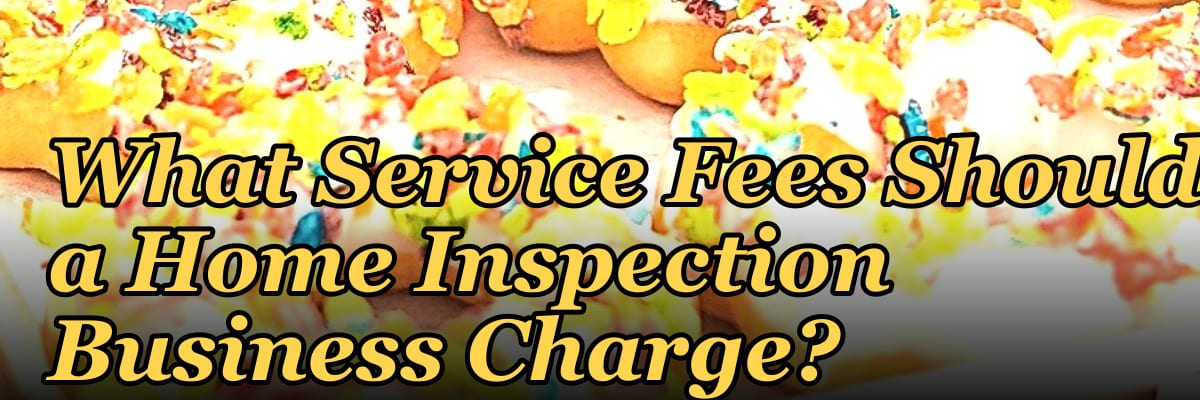 What Service Fees Should a Home Inspection Business Charge?