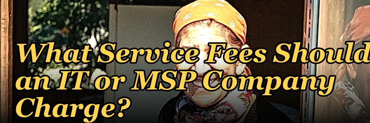 What Service Fees Should an IT or MSP Company Charge?