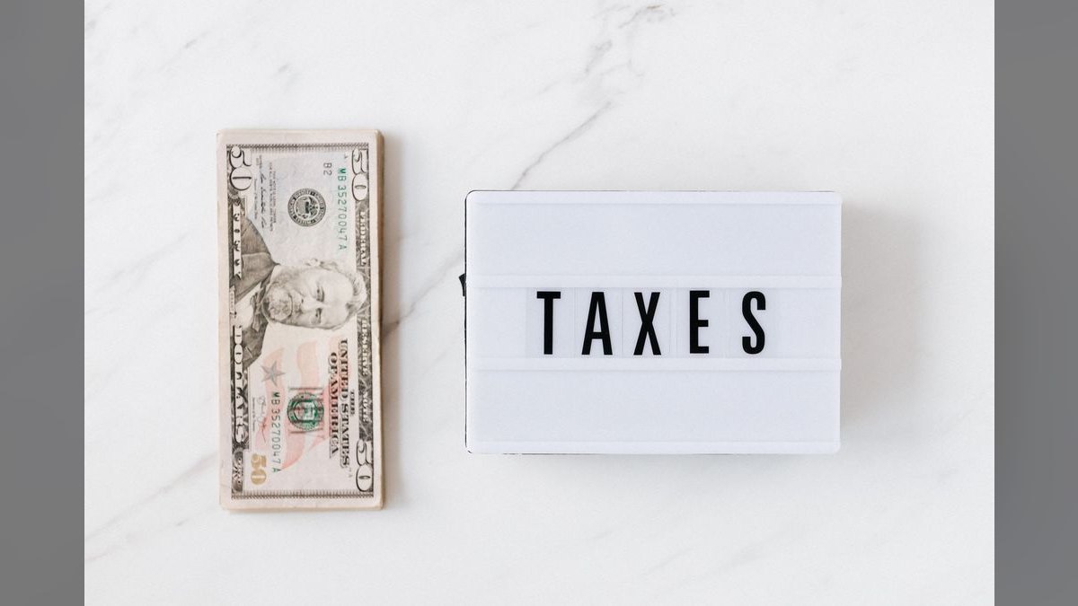 What Service Fees Should a Tree Service Company Charge — figure 4
