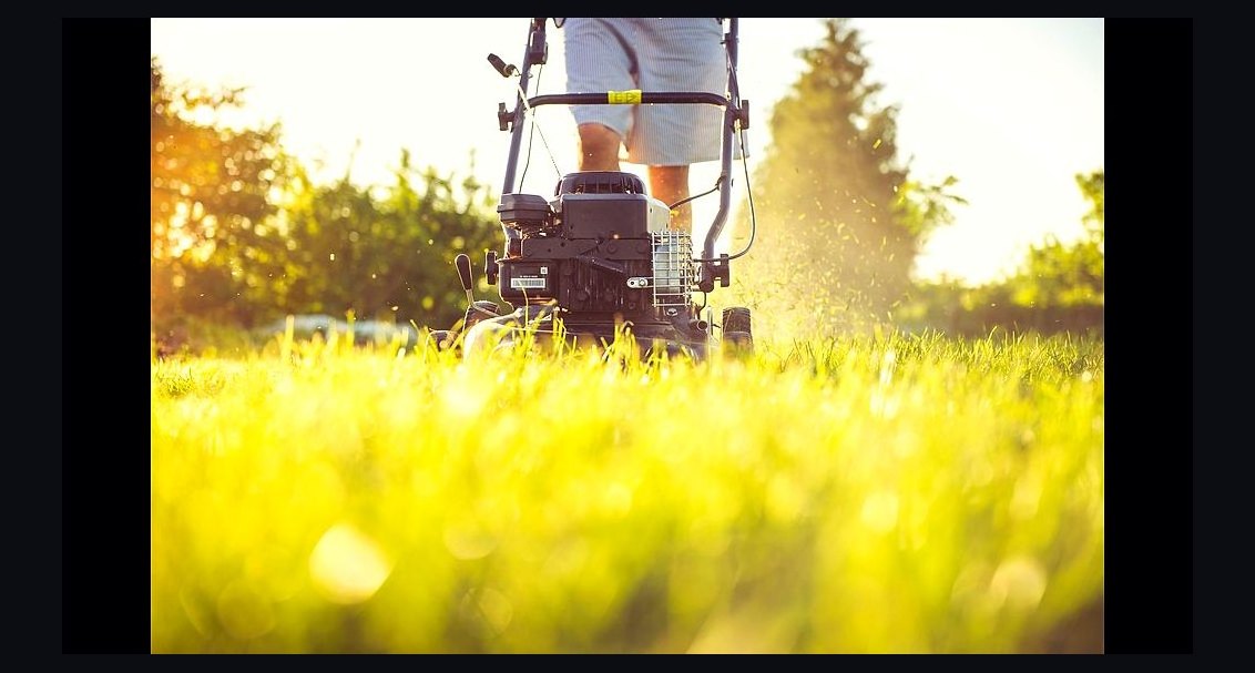 What Service Fees Should a Landscaping Business Charge in 2027?