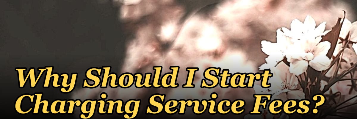 Why Should I Start Charging Service Fees?