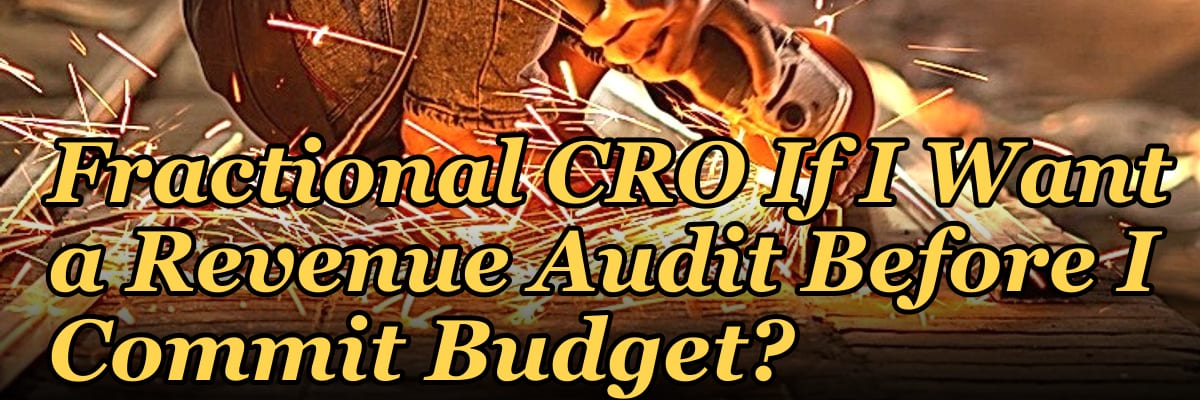 Should I Hire a Fractional CRO If I Want a Revenue Audit Before I Commit Budget?