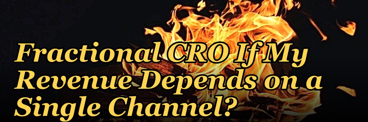 Should I Hire a Fractional CRO If My Revenue Depends on a Single Channel?