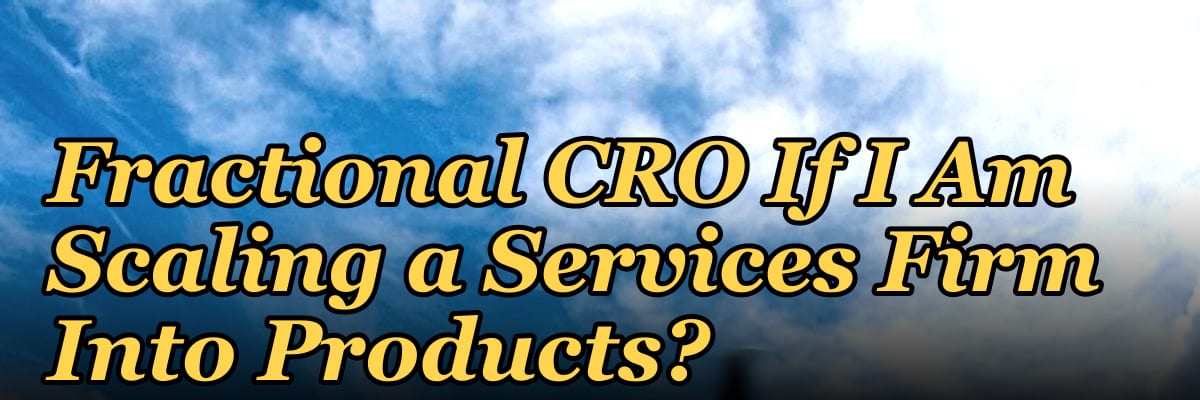 Should I Hire a Fractional CRO If I Am Scaling a Services Firm Into Products?