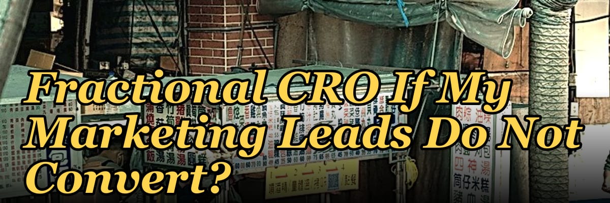 Should I Hire a Fractional CRO If My Marketing Leads Do Not Convert?