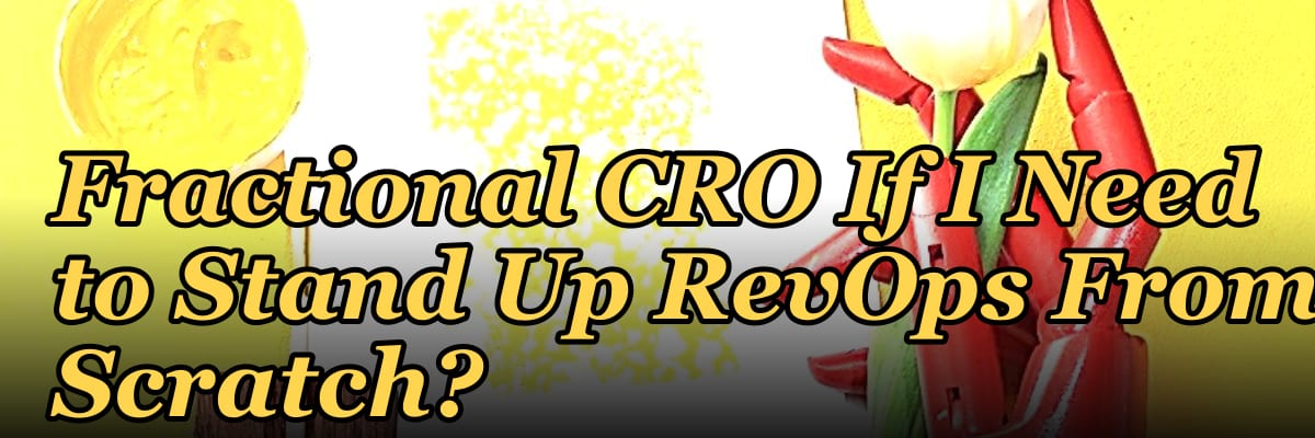 Should I Hire a Fractional CRO If I Need to Stand Up RevOps From Scratch?