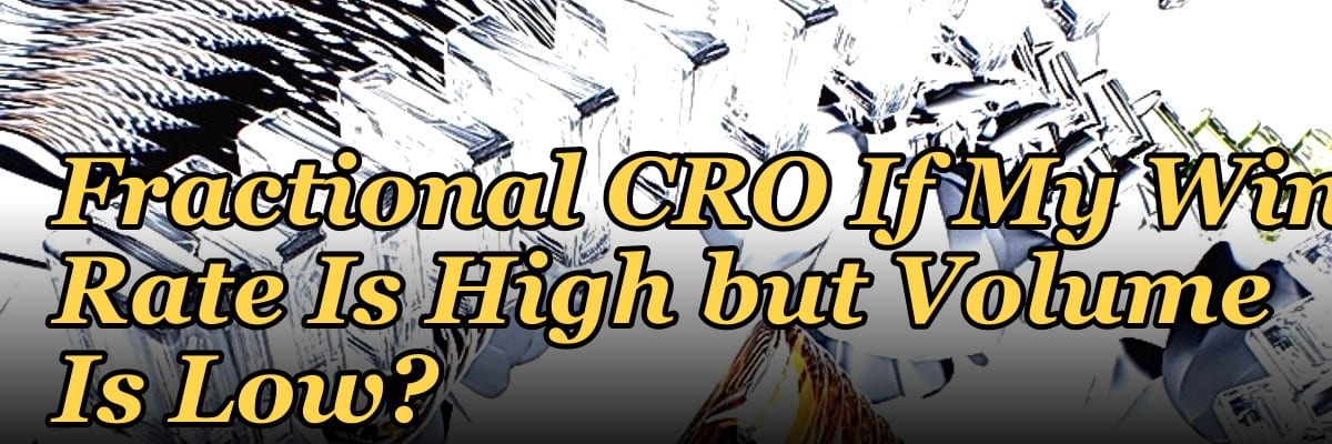 Should I Hire a Fractional CRO If My Win Rate Is High but Volume Is Low?