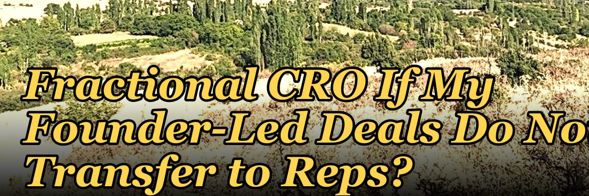 Should I Hire a Fractional CRO If My Founder-Led Deals Do Not Transfer to Reps?