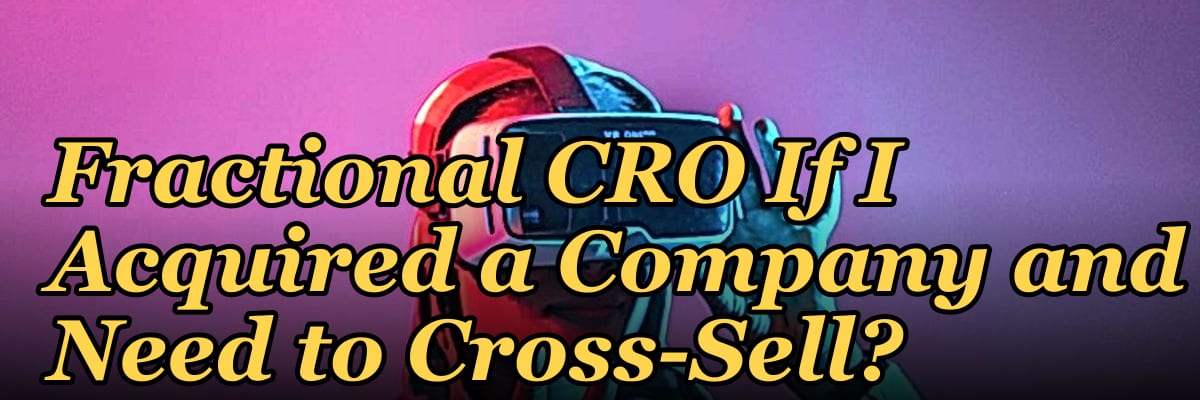 Should I Hire a Fractional CRO If I Acquired a Company and Need to Cross-Sell?