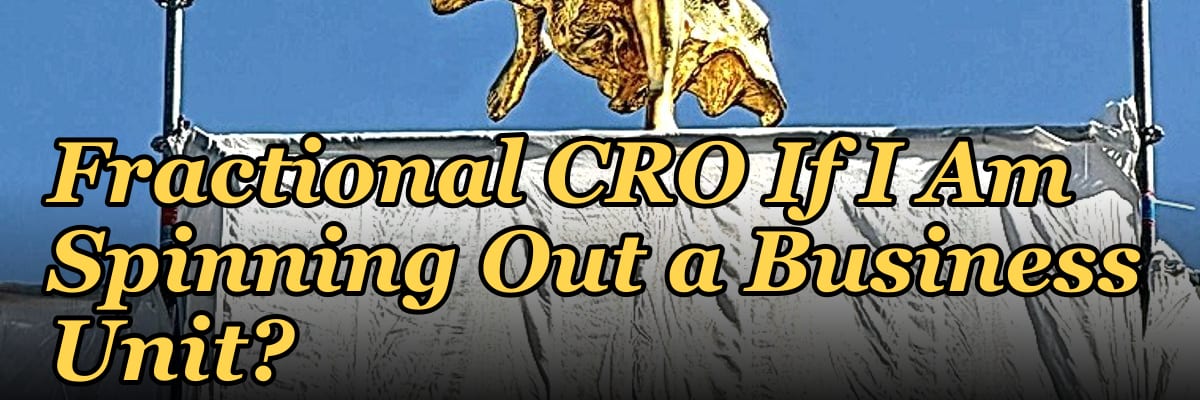 Should I Hire a Fractional CRO If I Am Spinning Out a Business Unit?