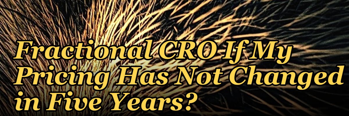 Should I Hire a Fractional CRO If My Pricing Has Not Changed in Five Years?