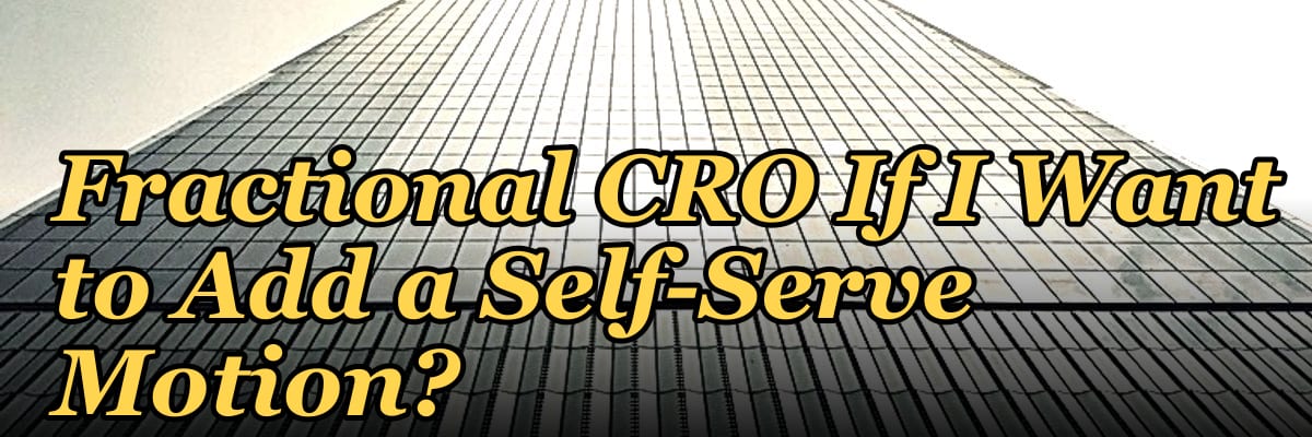 Should I Hire a Fractional CRO If I Want to Add a Self-Serve Motion?