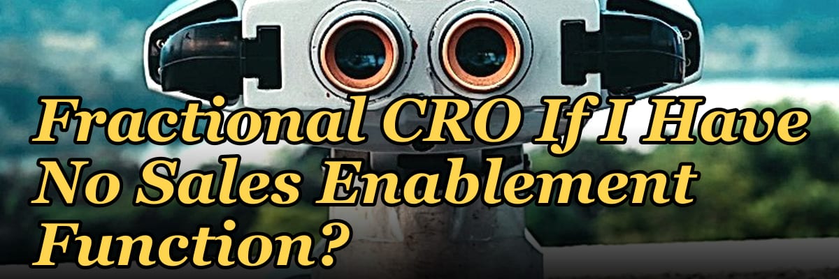 Should I Hire a Fractional CRO If I Have No Sales Enablement Function?