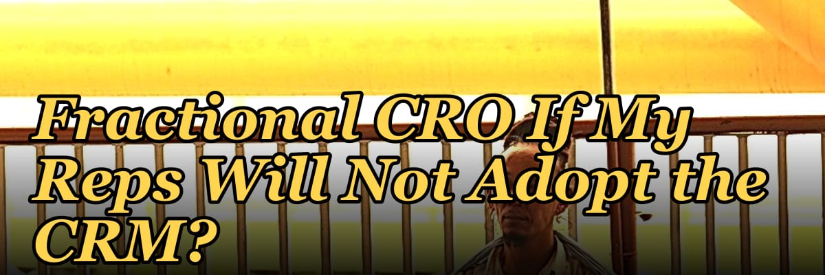 Should I Hire a Fractional CRO If My Reps Will Not Adopt the CRM?