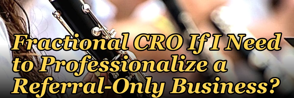 Should I Hire a Fractional CRO If I Need to Professionalize a Referral-Only Business?
