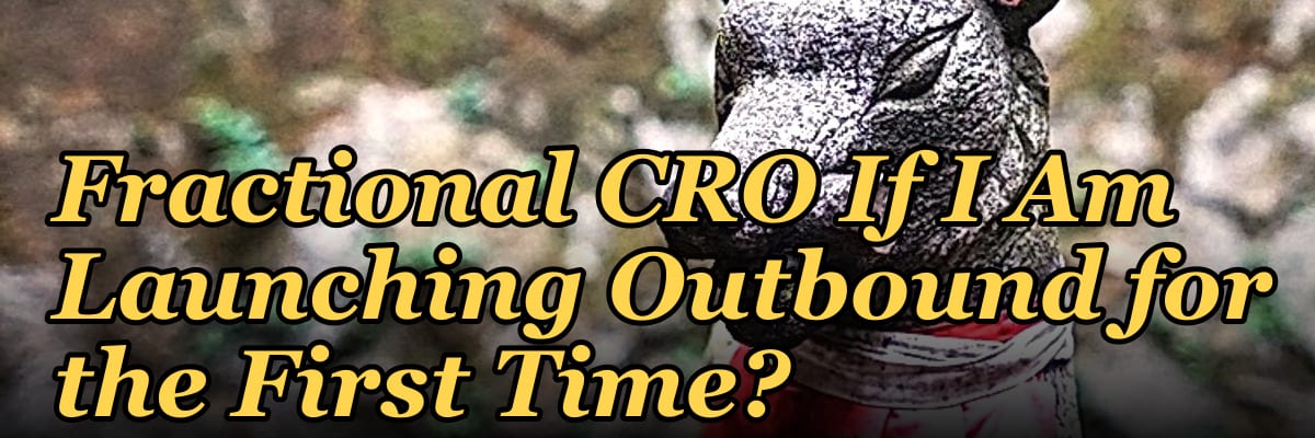 Should I Hire a Fractional CRO If I Am Launching Outbound for the First Time?