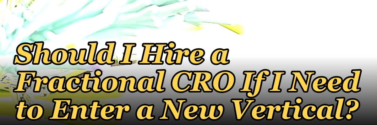 Should I Hire a Fractional CRO If I Need to Enter a New Vertical?