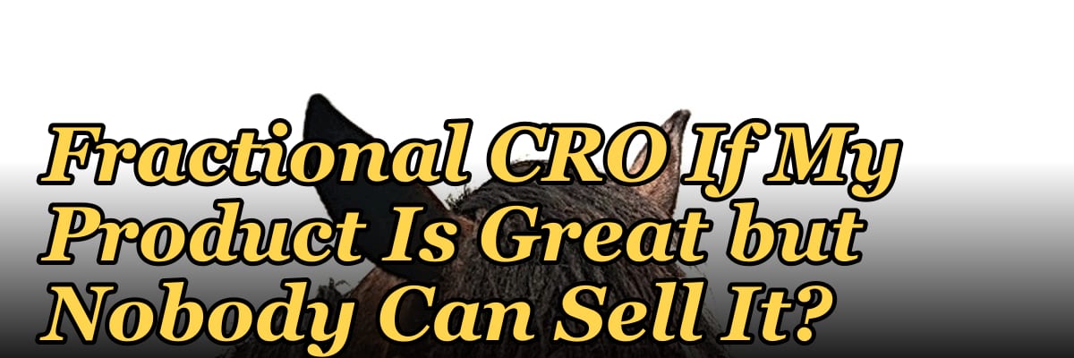 Should I Hire a Fractional CRO If My Product Is Great but Nobody Can Sell It?