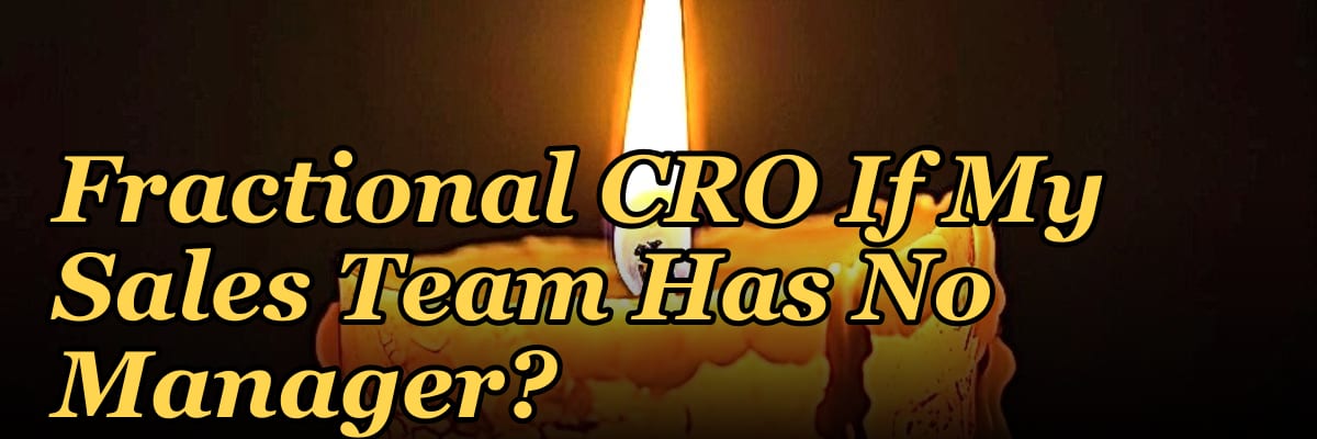 Should I Hire a Fractional CRO If My Sales Team Has No Manager?