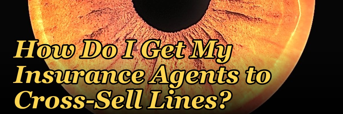 How Do I Get My Insurance Agents to Cross-Sell Lines?