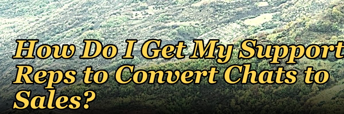 How Do I Get My Support Reps to Convert Chats to Sales?
