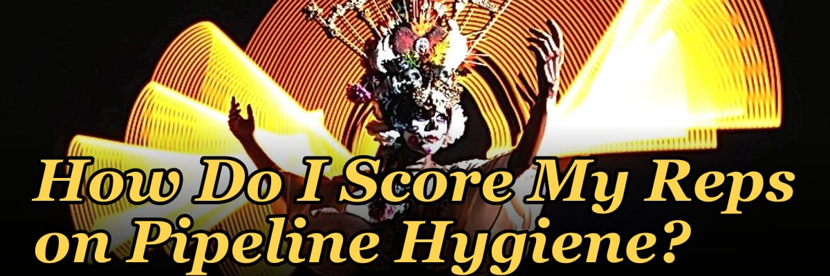 How Do I Score My Reps on Pipeline Hygiene?