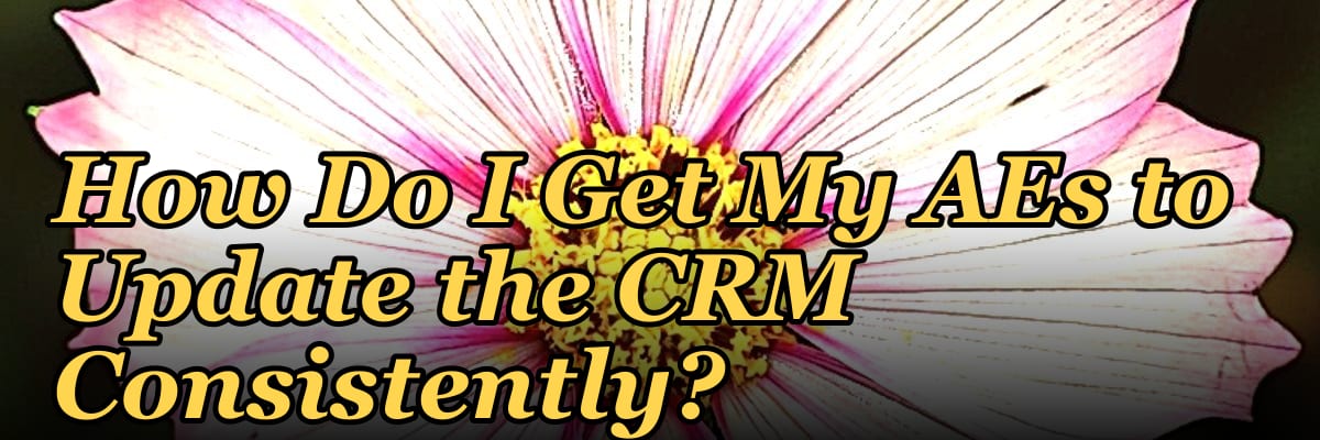 How Do I Get My AEs to Update the CRM Consistently?
