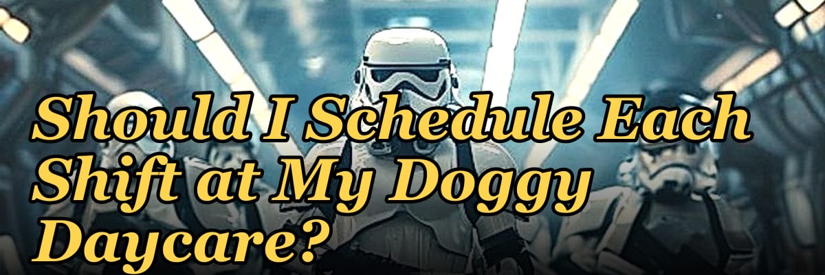 How Many Employees Should I Schedule Each Shift at My Doggy Daycare?