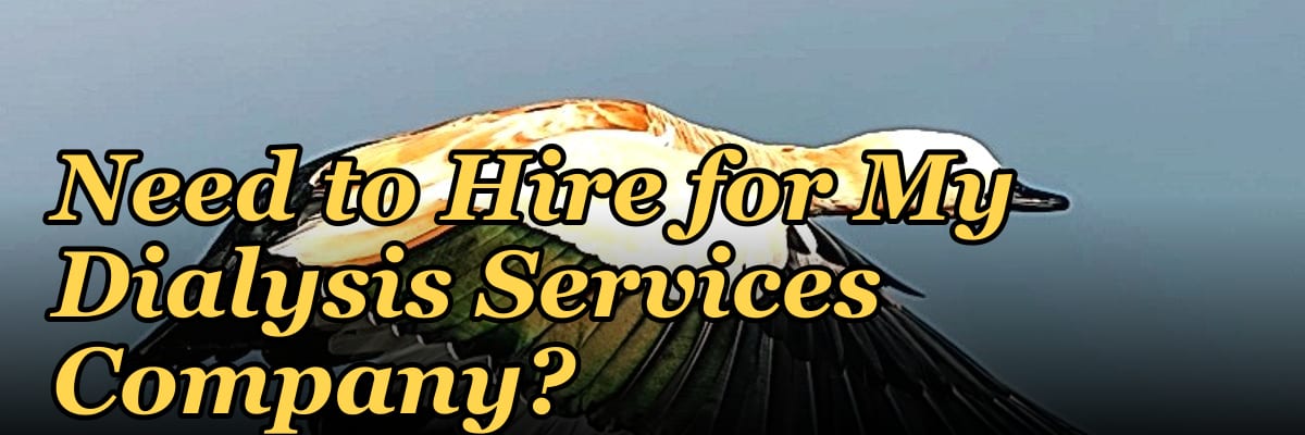 How Many Sales Reps Do I Need to Hire for My Dialysis Services Company?