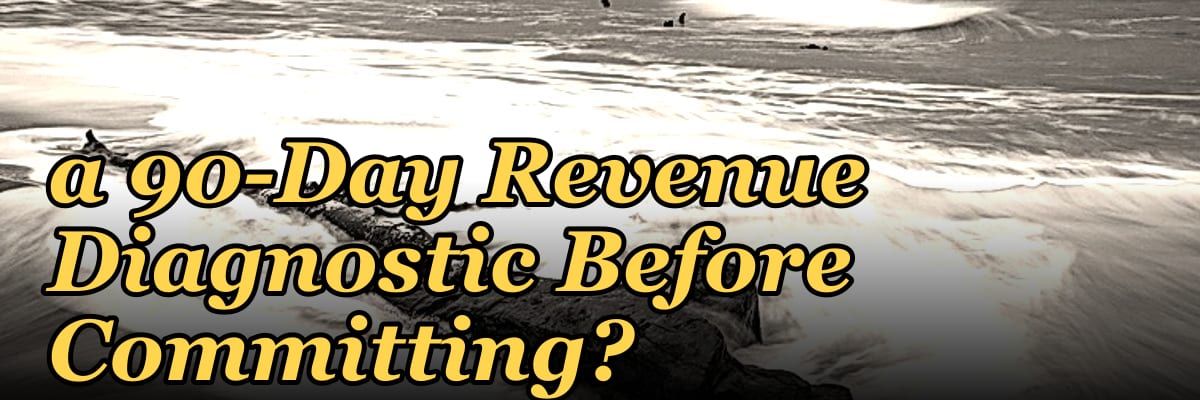 Should I Hire a Fractional CRO If I Want a 90-Day Revenue Diagnostic Before Committing?