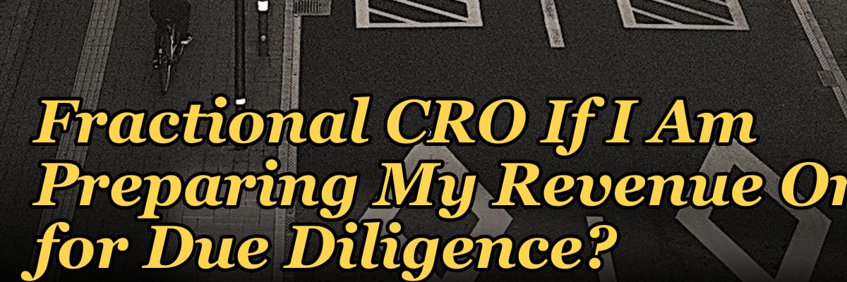 Should I Hire a Fractional CRO If I Am Preparing My Revenue Org for Due Diligence?