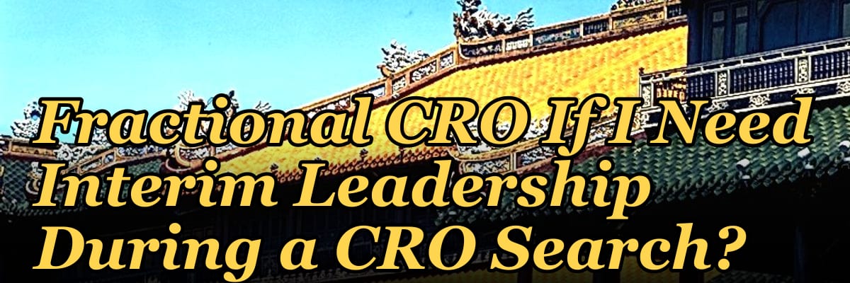 Should I Hire a Fractional CRO If I Need Interim Leadership During a CRO Search?