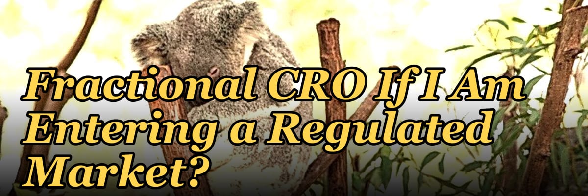Should I Hire a Fractional CRO If I Am Entering a Regulated Market?