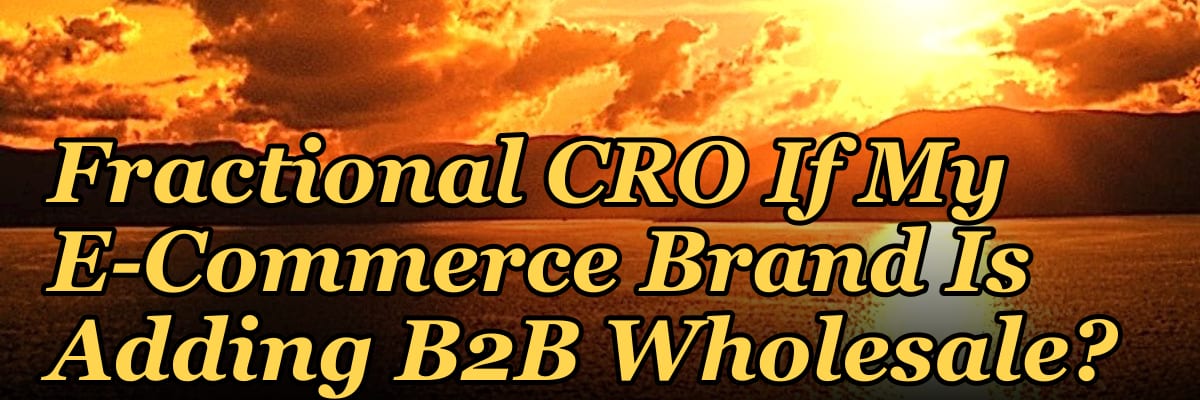 Should I Hire a Fractional CRO If My E-Commerce Brand Is Adding B2B Wholesale?