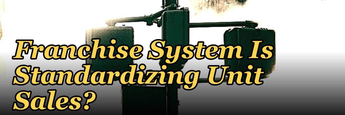 Should I Hire a Fractional CRO If My Franchise System Is Standardizing Unit Sales?