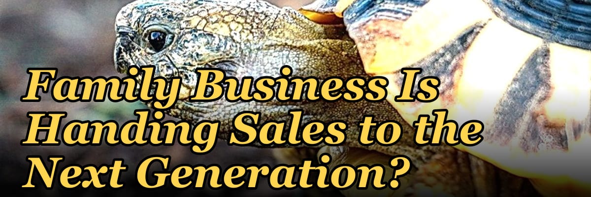 Should I Hire a Fractional CRO If My Family Business Is Handing Sales to the Next Generation?
