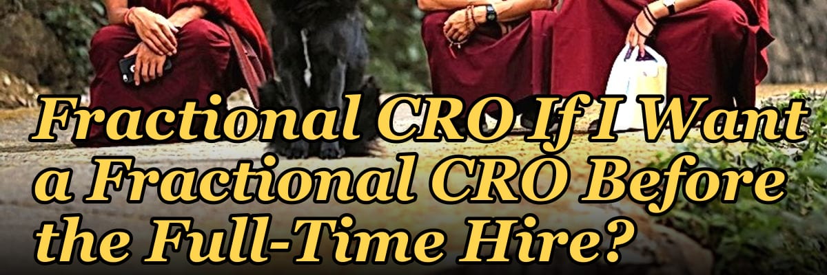 Should I Hire a Fractional CRO If I Want a Fractional CRO Before the Full-Time Hire?
