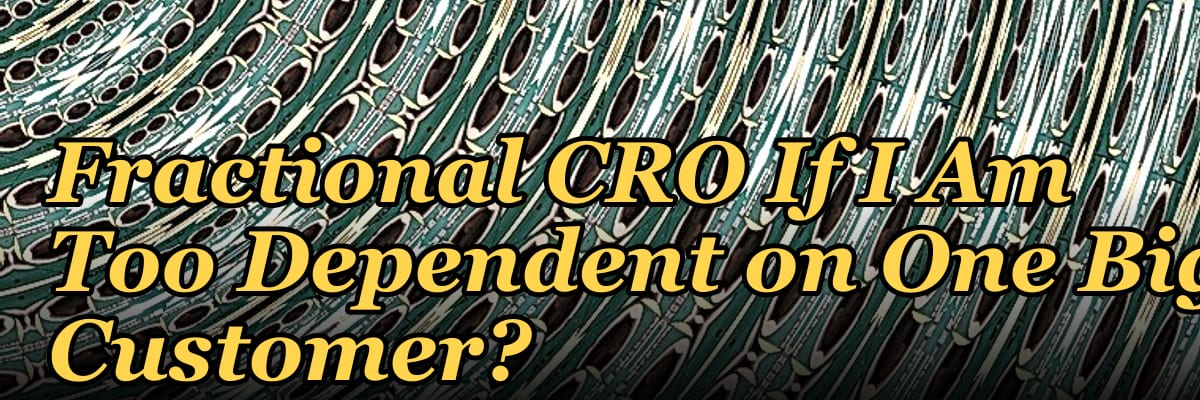 Should I Hire a Fractional CRO If I Am Too Dependent on One Big Customer?